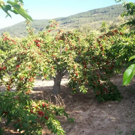 Kır Evi Calabazas Barrado