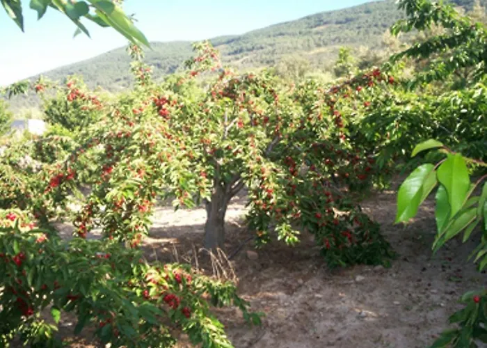 Kır Evi Calabazas Barrado